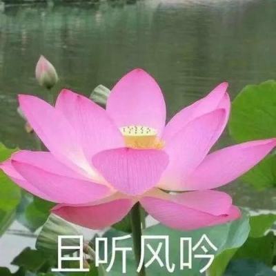 新文速递 | 郑泽民 ：甲午战争时期上海“中立”问题研究